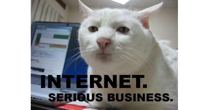 et un lolcat de plus